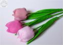 Tulipánok rózsaszín virágokból