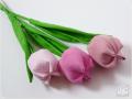 Tulipánok rózsaszín virágokból