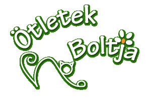 Kökörcsin az Ötletek Boltjában