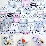 Újraszalvéta cicák sorban