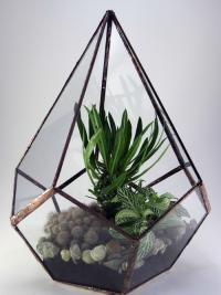 Ötszög alapú florárium, terrárium 
